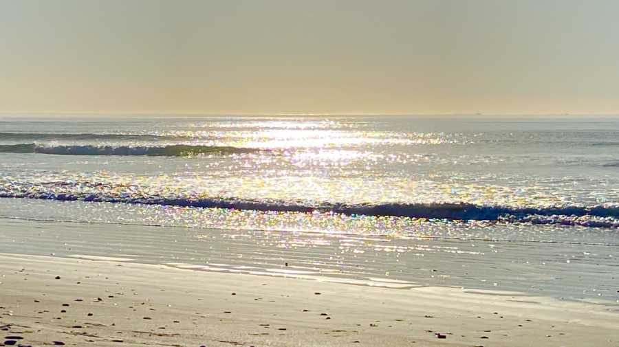 0 Bedroom Property for Sale in Dwarskersbos Western Cape